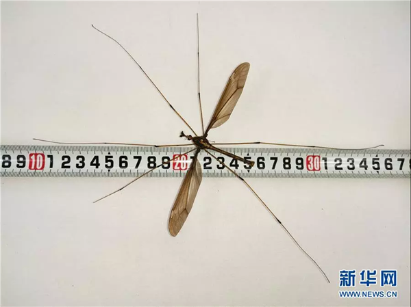 中科計量《新聞早報》2018年11月5日（周一）